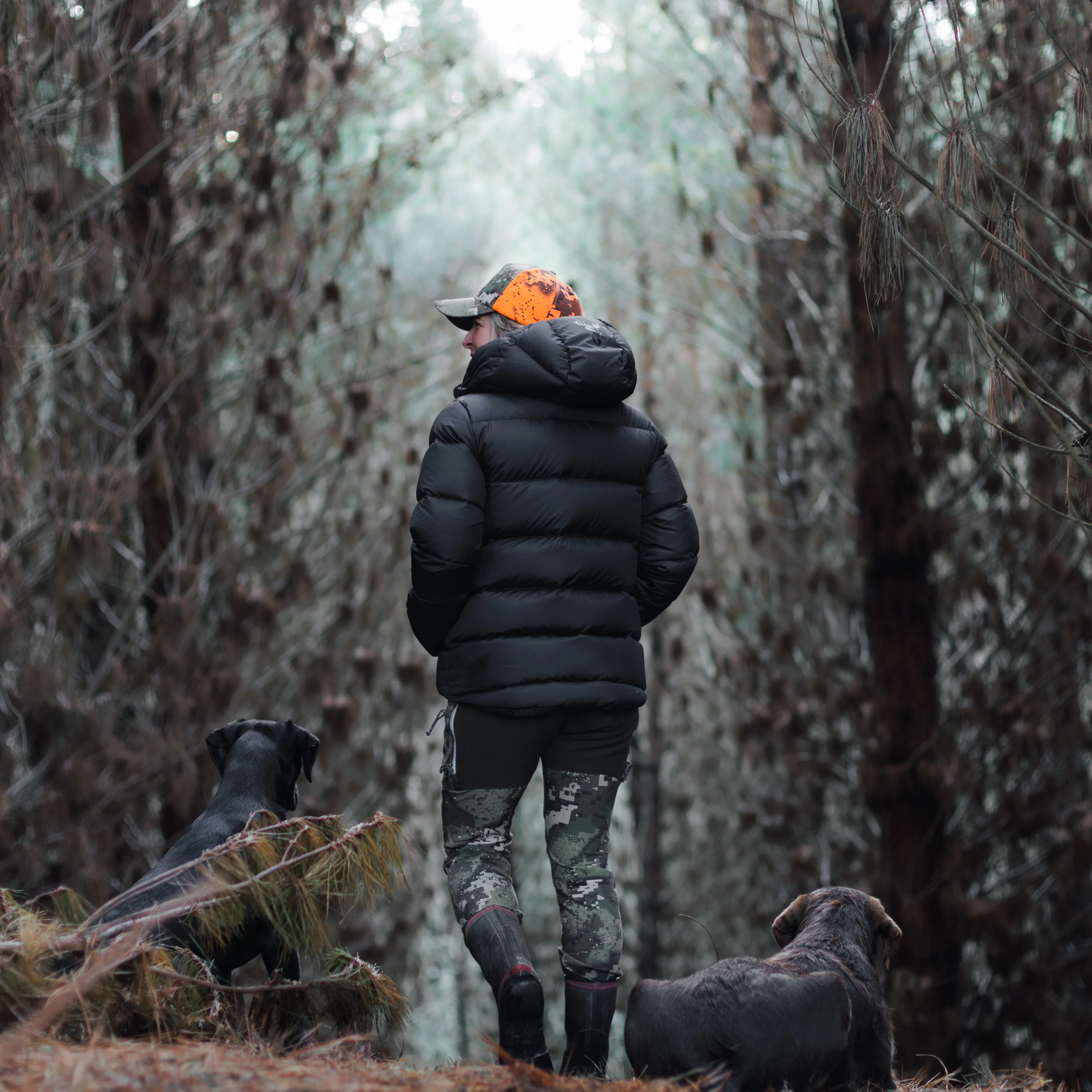Glacier Jacket Women's - Image 2